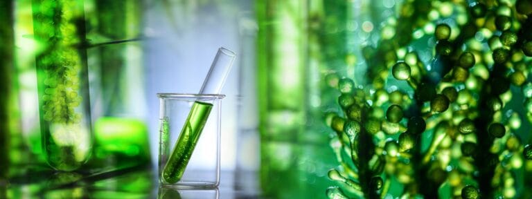 Green plant extract in laboratory glassware beside botanical material