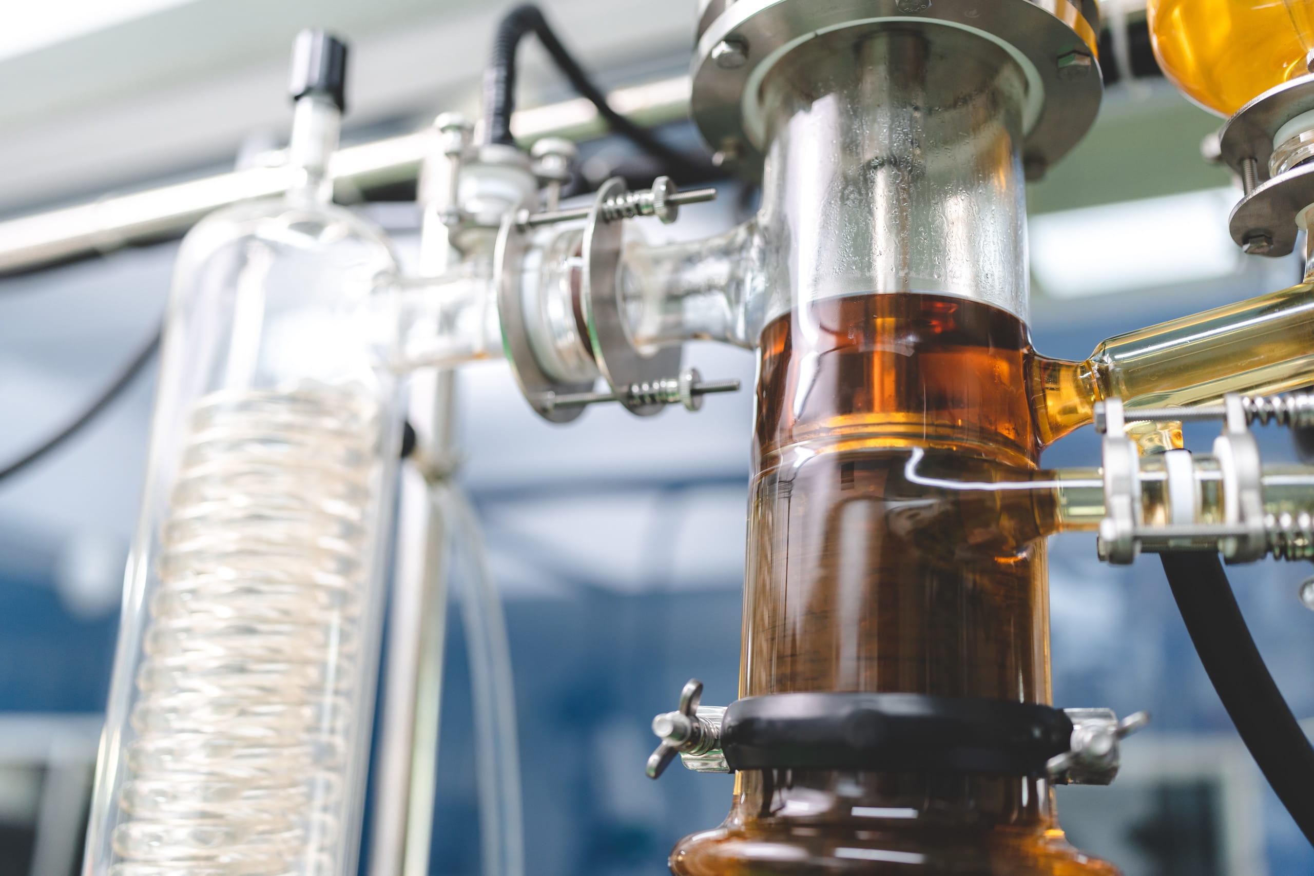 Glass and stainless-steel extraction equipment holding amber botanical extract in a laboratory