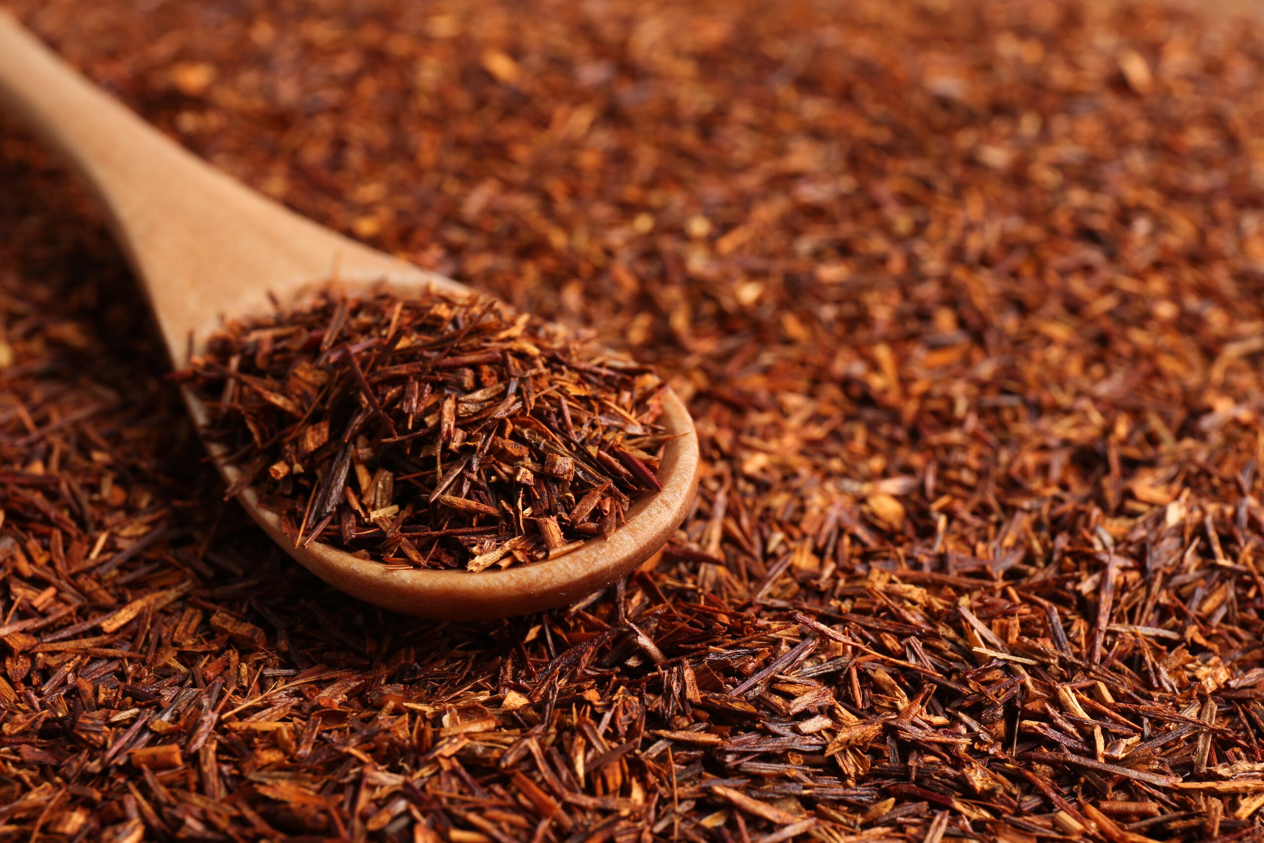 Loose rooibos tea filling a wooden spoon, close-up